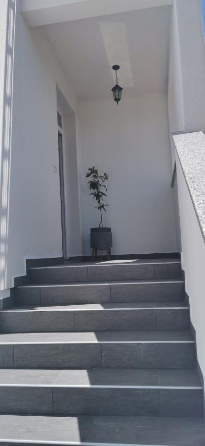 Apartments Angeline ロヴィンスコ・セロ エクステリア 写真