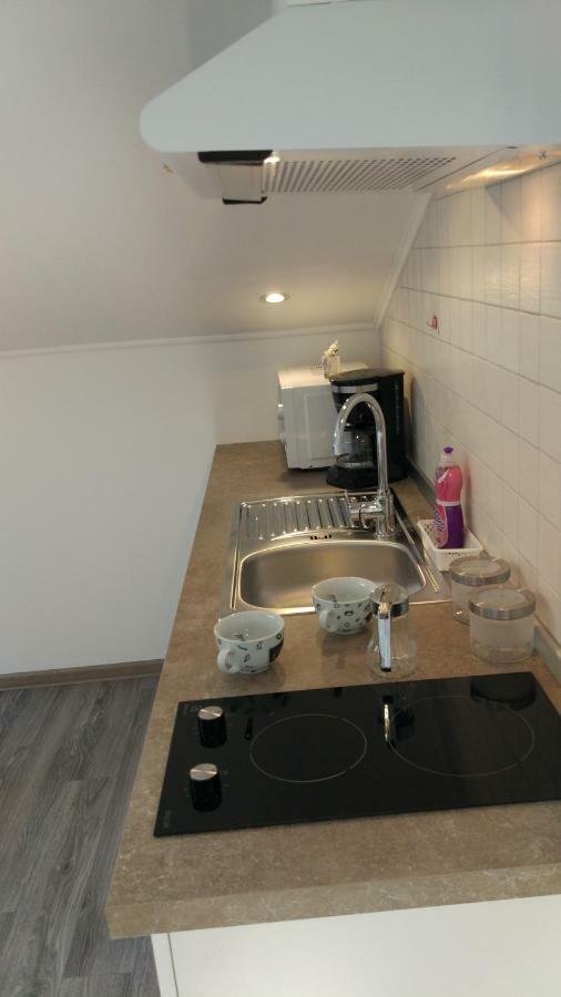 Apartments Angeline ロヴィンスコ・セロ エクステリア 写真